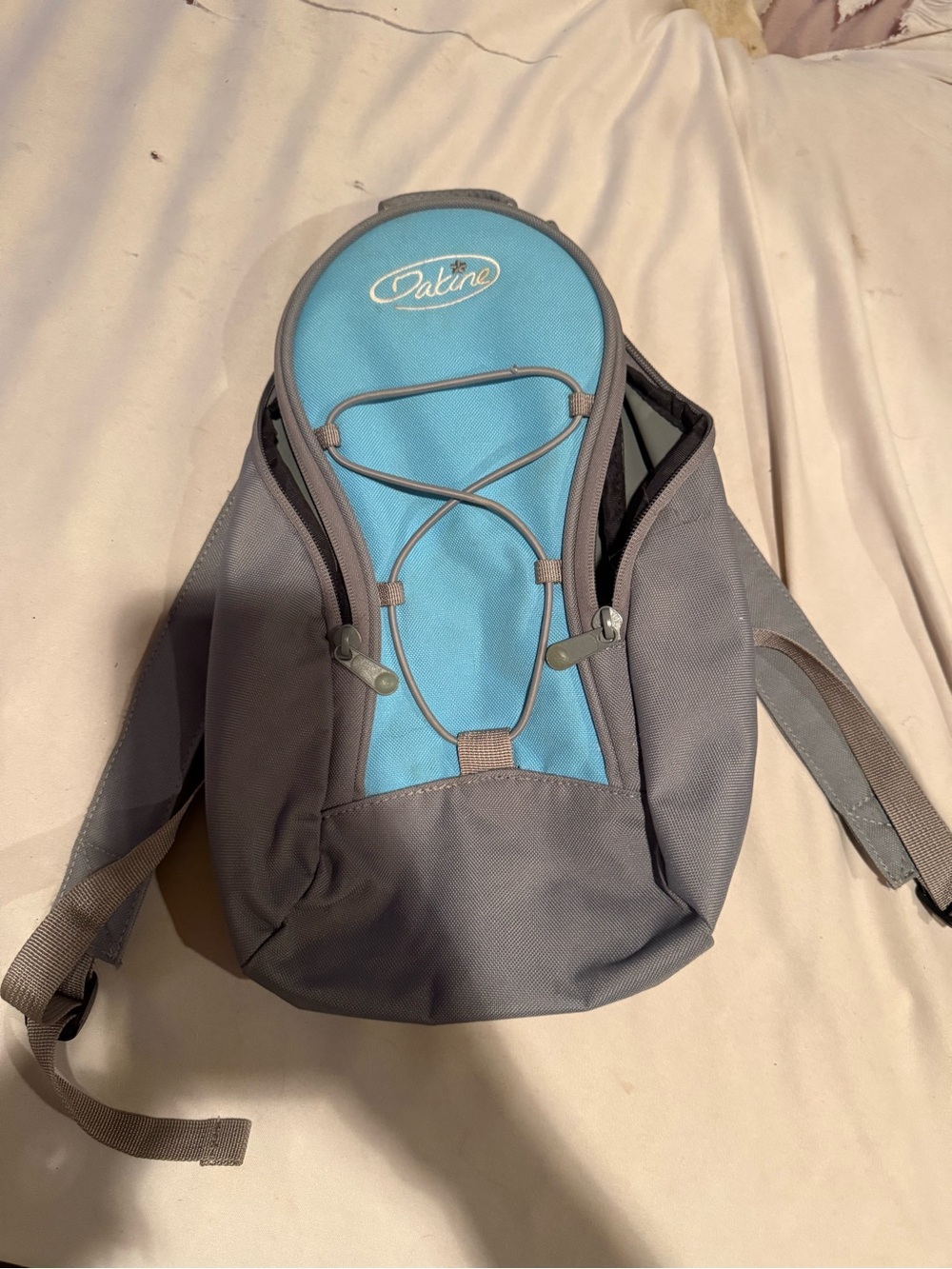 Women’s Dakine Blue & Gray Everyday Backpack